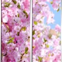 Фотопечать шкафы-купе