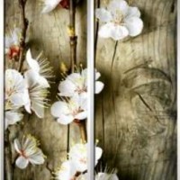 Фотопечать шкафы-купе