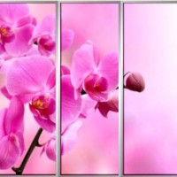 Фотопечать шкафы-купе
