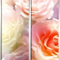 Фотопечать шкафы-купе