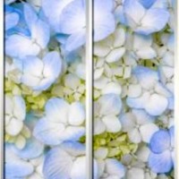 Фотопечать шкафы-купе