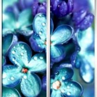 Фотопечать шкафы-купе