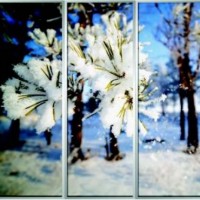 Фотопечать шкафы-купе