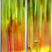 Фотопечать шкафы-купе