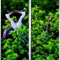 Фотопечать шкафы-купе
