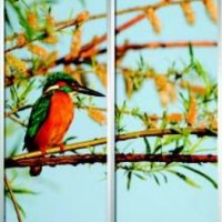 Фотопечать шкафы-купе