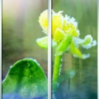 Фотопечать шкафы-купе