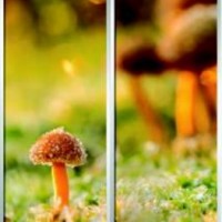 Фотопечать шкафы-купе