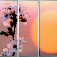 Фотопечать шкафы-купе