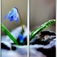 Фотопечать шкафы-купе