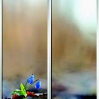 Фотопечать шкафы-купе