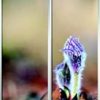 Фотопечать шкафы-купе