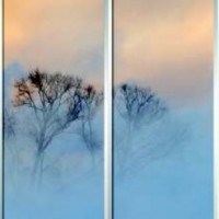 Фотопечать шкафы-купе