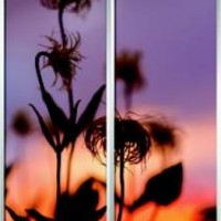 Фотопечать шкафы-купе