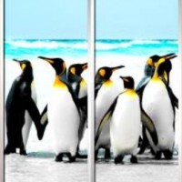 Фотопечать шкафы-купе