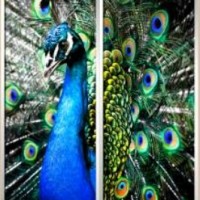 Фотопечать шкафы-купе