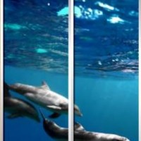 Фотопечать шкафы-купе
