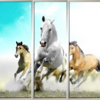 Фотопечать шкафы-купе