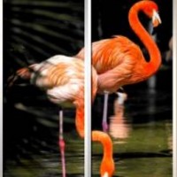 Фотопечать шкафы-купе